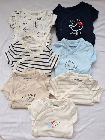 Lot de 7 bodies manches courtes