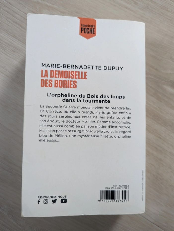 La demoiselle des Bories - Marie Bernadette Dupuy - photo numéro 2