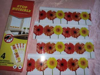 4 frises adhesives pour  mouches et insectes