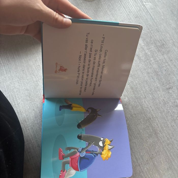 Petit loup fait une colère - photo numéro 4