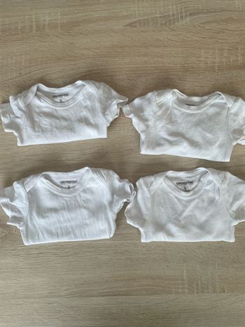 Lot bodies
