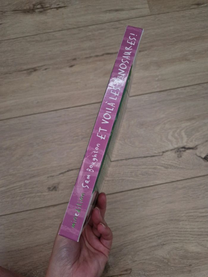 Livre 📖 Et voilà les dinosaures ! - photo numéro 4