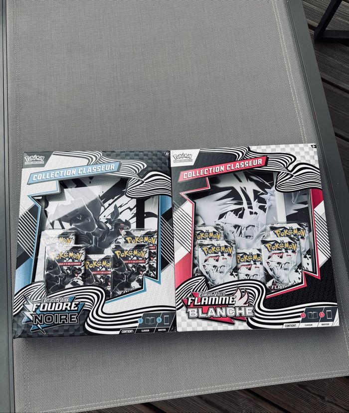 Lot de 2 classeurs ev10.5 pokémon