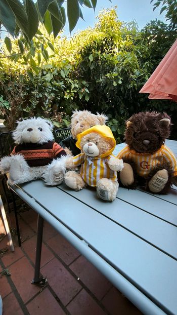 Lot de superbes peluche nounours giorgio beverly