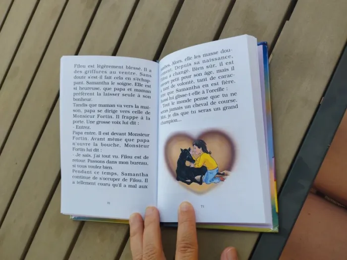 Filou, le petit cheval de course - photo numéro 3