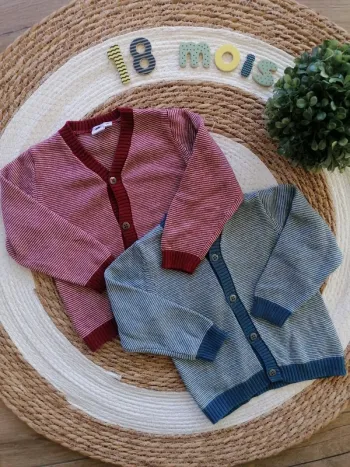 Ensemble de deux gilets bleu et rouge - Grain de blé - 18 mois