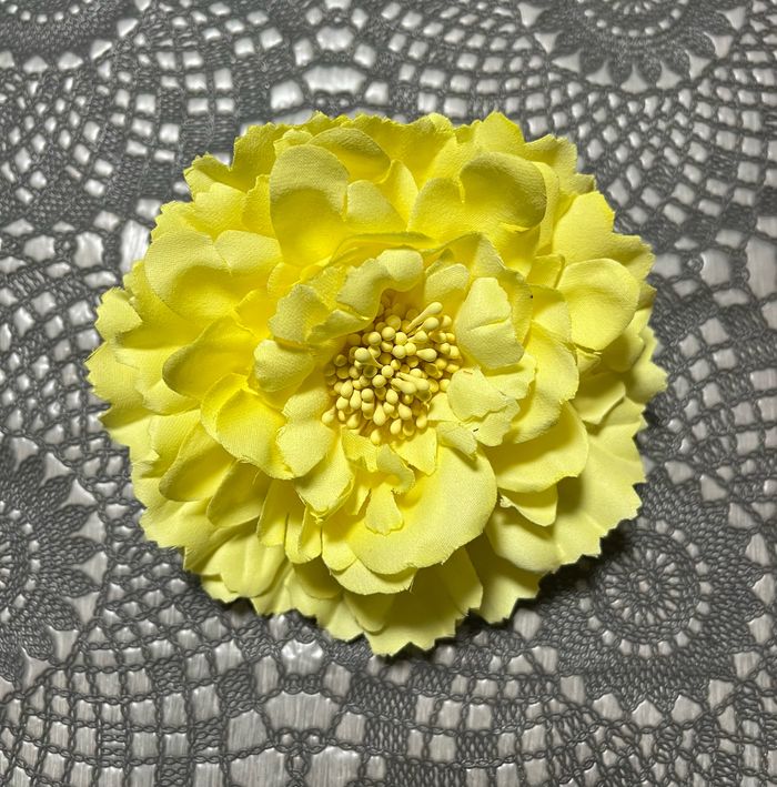 Pince à cheveux neuve