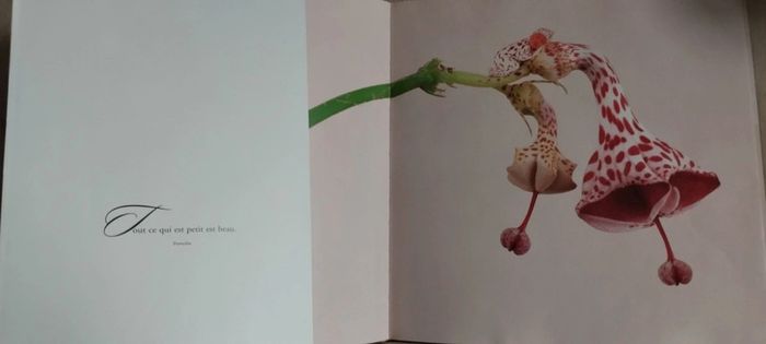 Parlez-moi d'amour Anne Geddes - photo numéro 5