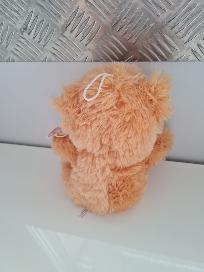 Petit ours neuf - photo numéro 2