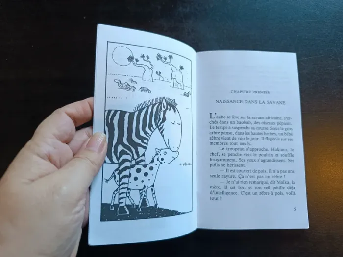 Livre ANATOLE TAMAR, LE ZEBRE À POIS - Clémentine Pol Tanguy - photo numéro 3