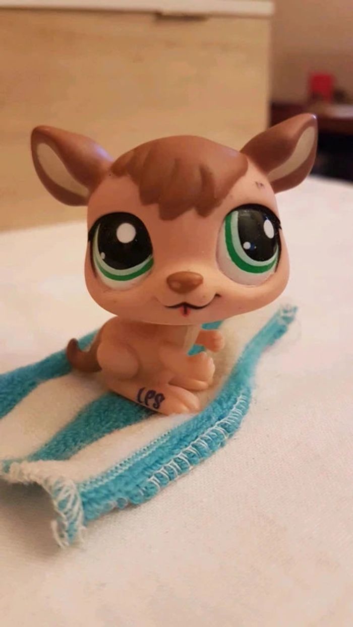 Kangourou petshop sur sa serviette