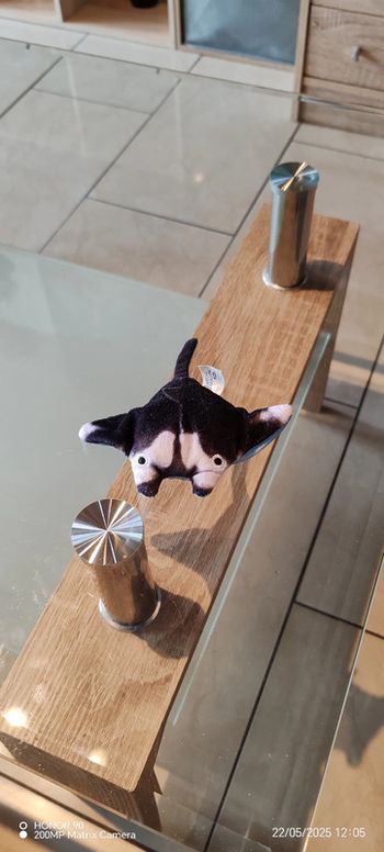 Peluche mini raie
