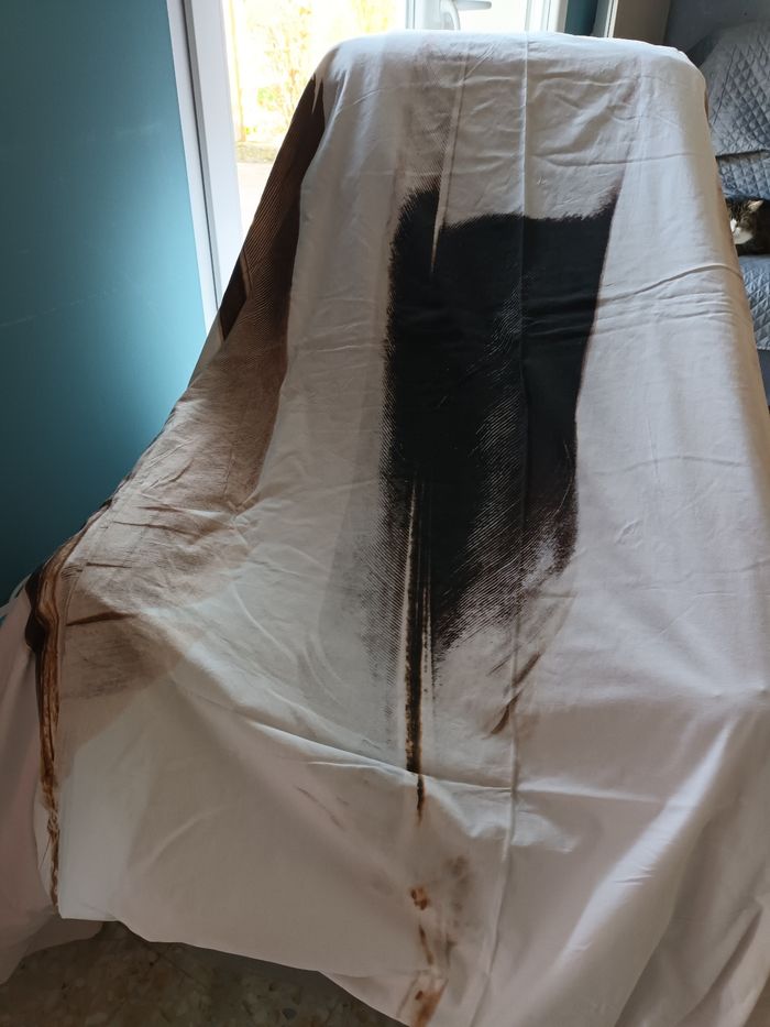 Housse de couette Plumes