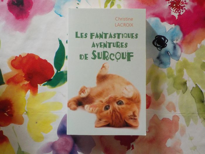 Les fantastiques aventures de Surcouf de Christine Lacroix Ed. France Loisirs