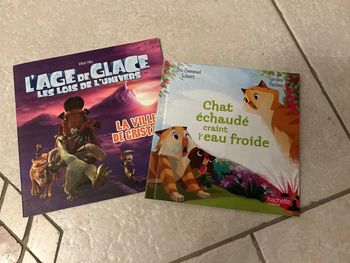 2 livres l’âge de glace et chat