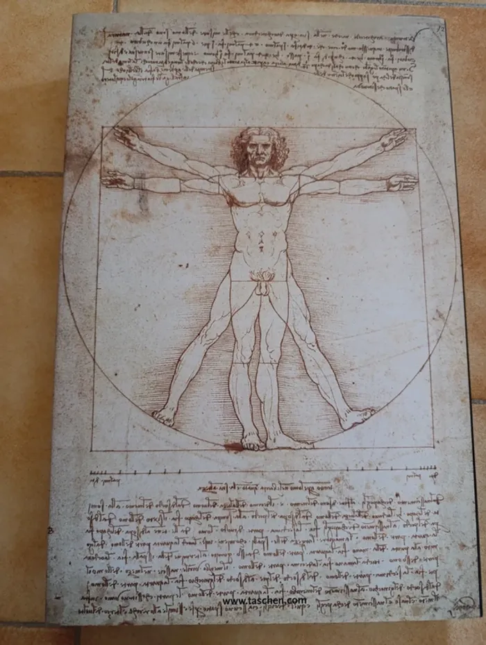 Livre de collection Léonard de Vinci "Tout l'œuvre peint et graphique" Taschen - photo numéro 4