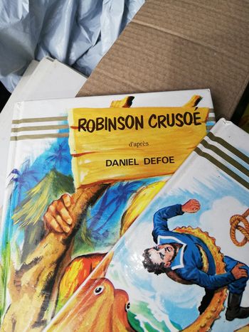 livre robinson crusoé et vingt mille lieux sous les mers