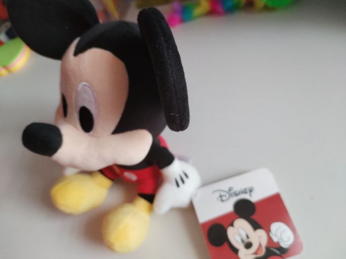 Mickey - photo numéro 4