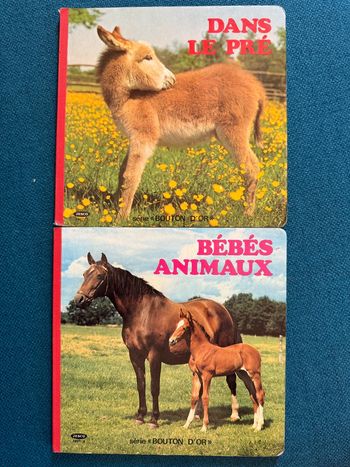 Lot de 2 livres anciens carton cartonnés Dans le pré + Bébés animaux campagne bouton d’or