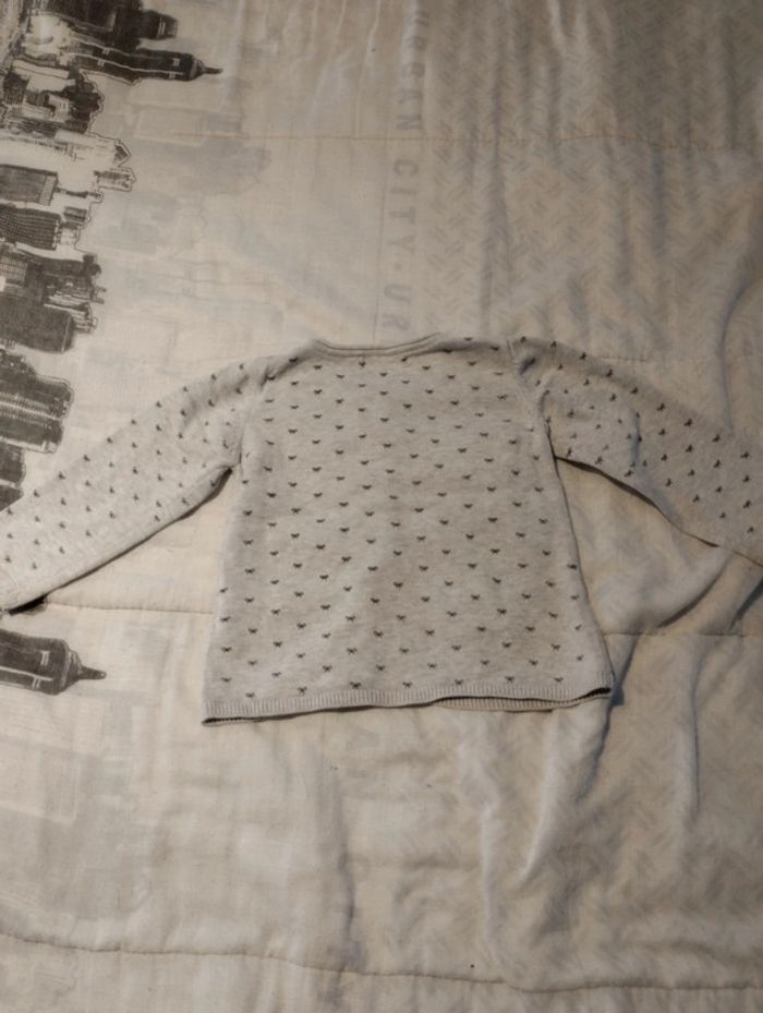 Gilet gris - photo numéro 3