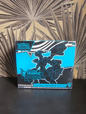 ETB Foudre Noire Ev10.5