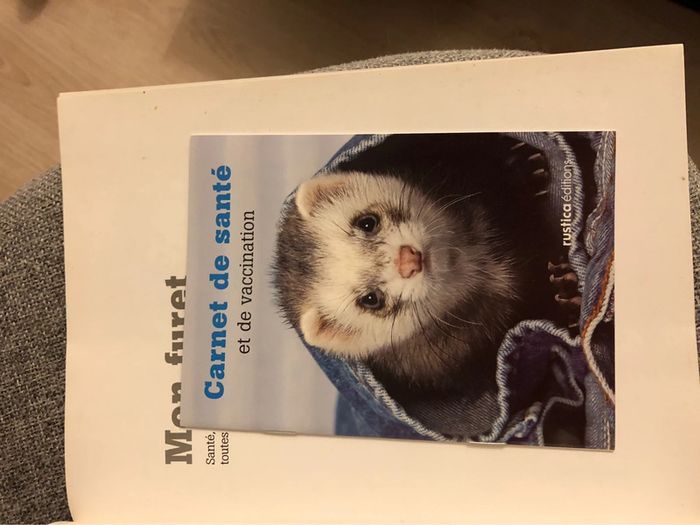 Livre Mon furet - photo numéro 4