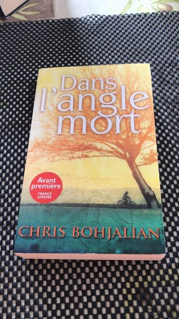 Dans l’angle mort