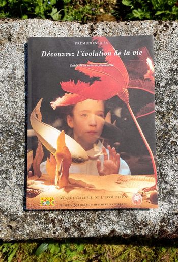 Découvrez l'évolution de la vie