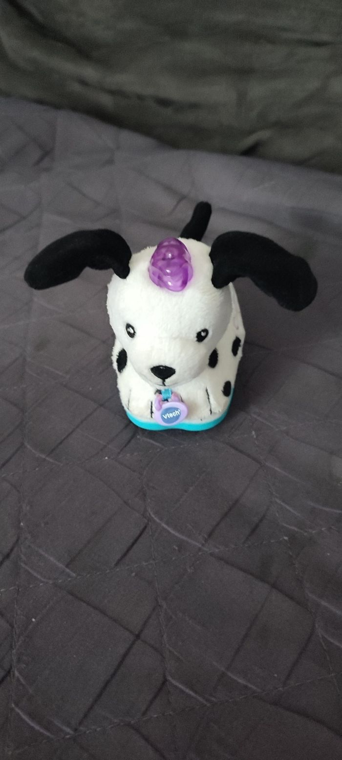 Tut tut animo Coquin le petit dalmatien