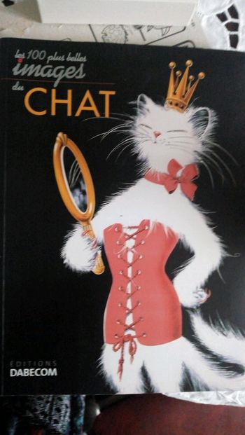 Livre les 100 plus belles images de chat