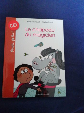 Livre le chapeau du magicien