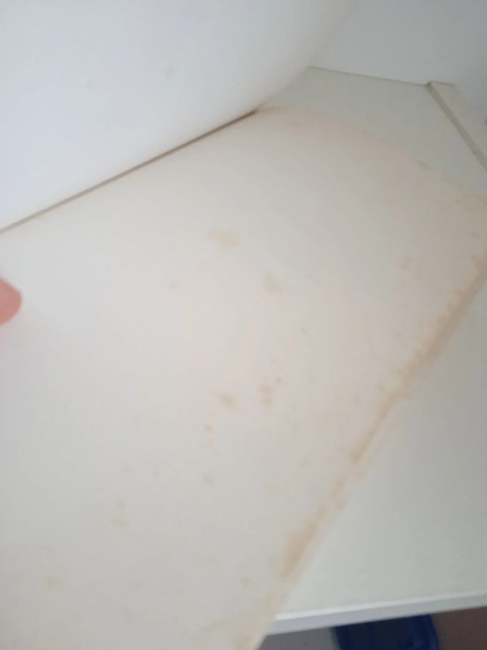 Histoire de la seconde guerre mondiale - photo numéro 2