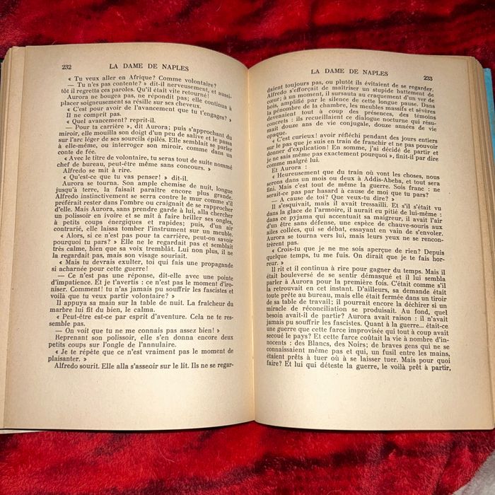 Roman « La Dame de Naples » - photo numéro 3