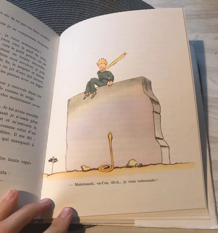 Rare Le petit prince Antoine de saint exypery édition collection - photo numéro 4