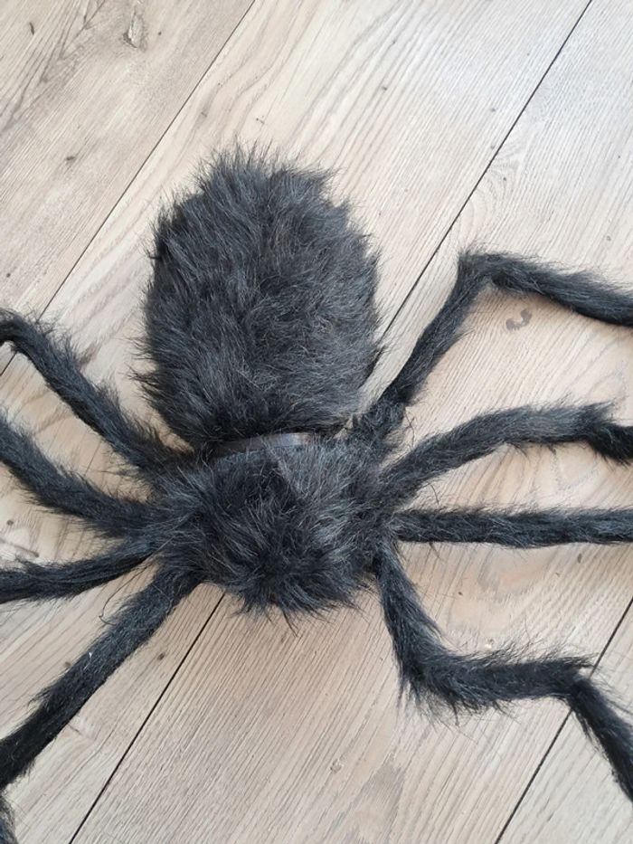 Énorme araignée de 1 mètre. Décor halloween - photo numéro 4