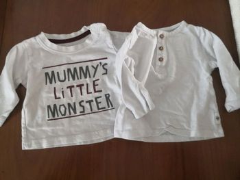 2 tee-shirt manches longues