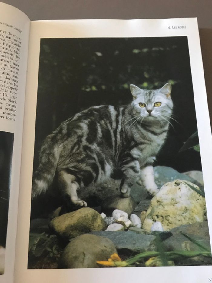 Livre L’univers des Chats - photo numéro 6