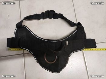 HARNAIS DE DRESSAGE FIXA REGLABLE