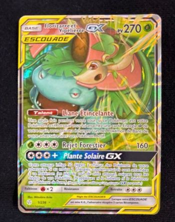 Carte Pokémon Florizzare et Vipeliére