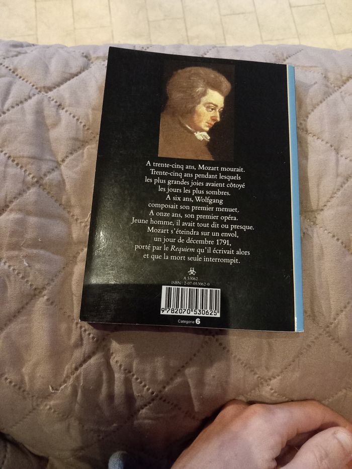Mozart aimé des dieux - photo numéro 2