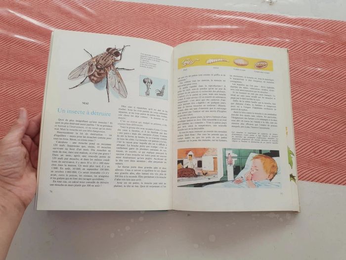 Livre vintage la nature - photo numéro 13