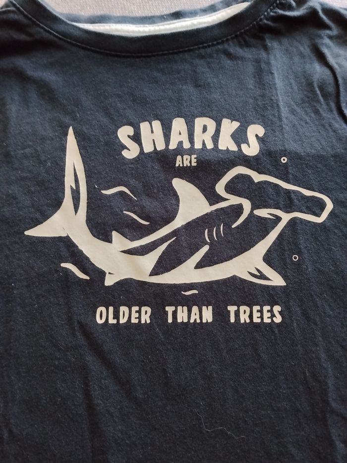 T shirt - photo numéro 2