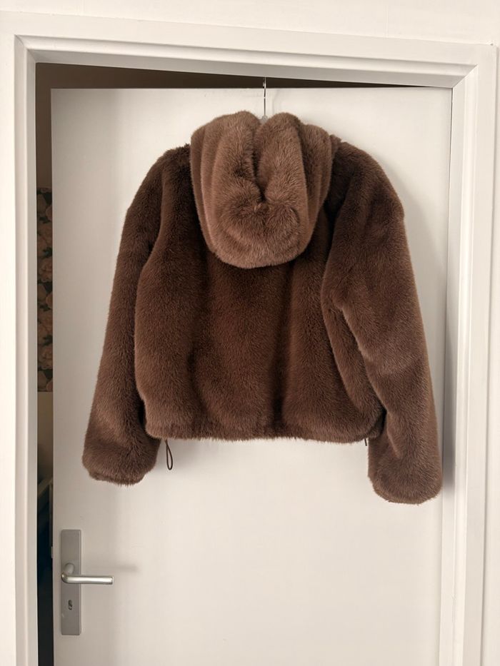 Fourrure à capuche - photo numéro 1