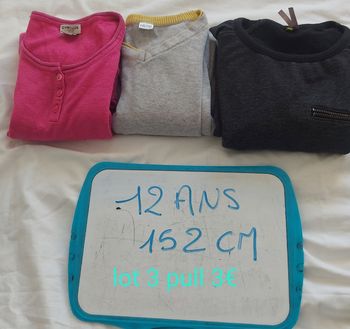 Lot 3 pull taille 12 ans