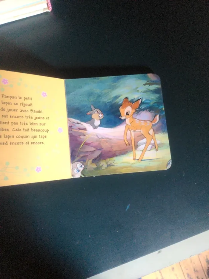 Mon ami bambi - photo numéro 3