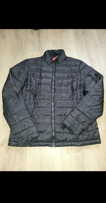 Manteau