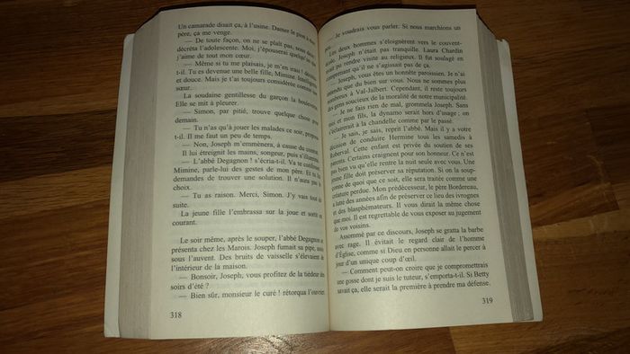 Magnifique roman  L'orpheline Des Neiges - marie-bernadette dupuy - photo numéro 3