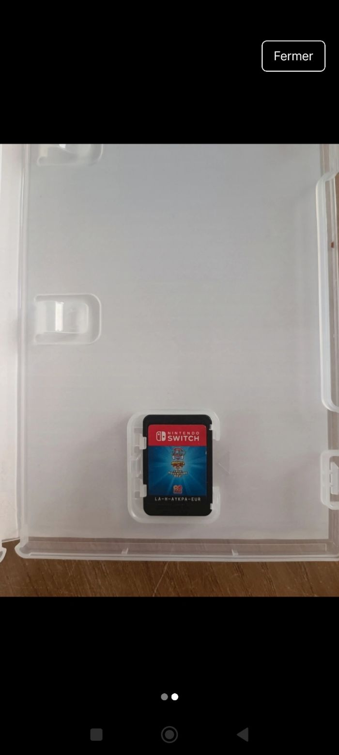 Pat patrouille sauve la grande vallée - photo numéro 2