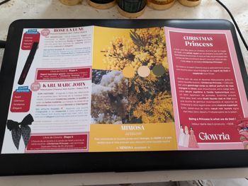 Coffret beauté Glowria Christmas Princess