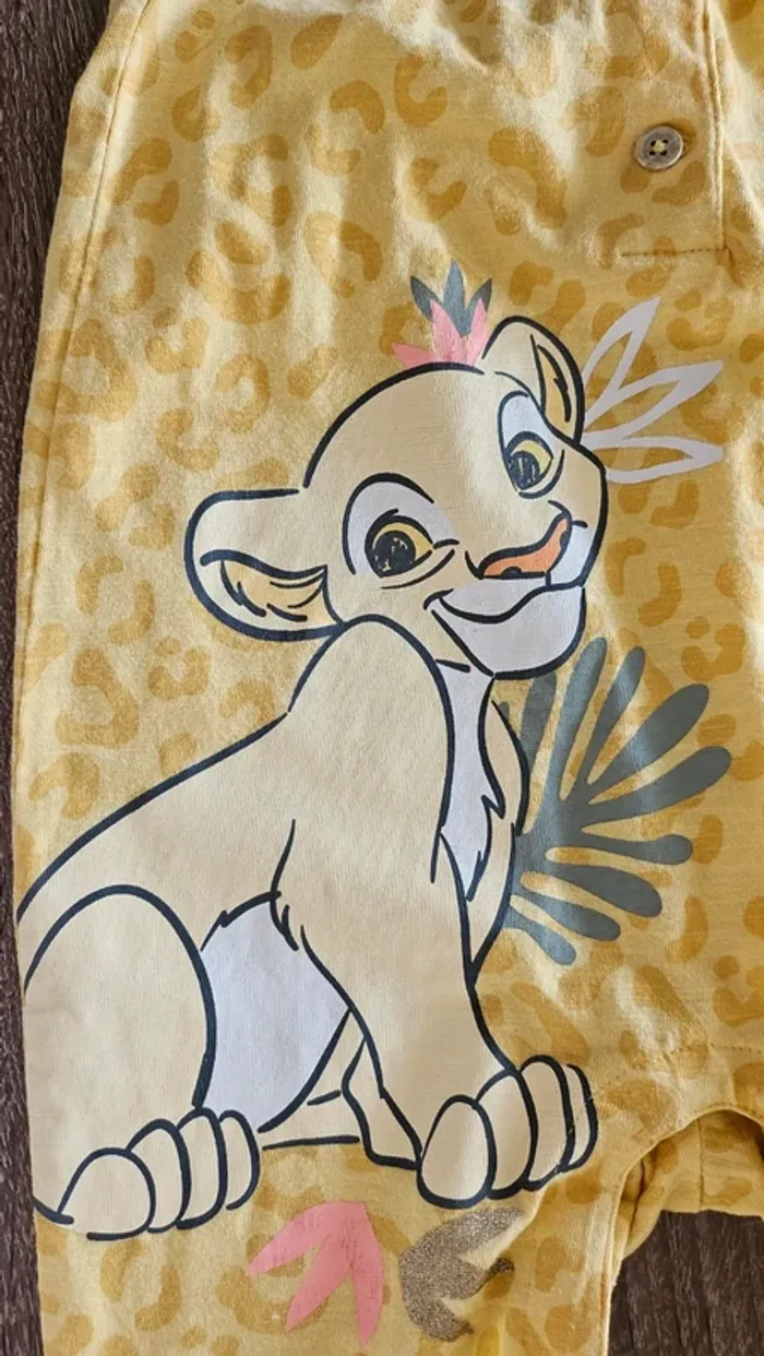 Combi Disney Nala - photo numéro 3